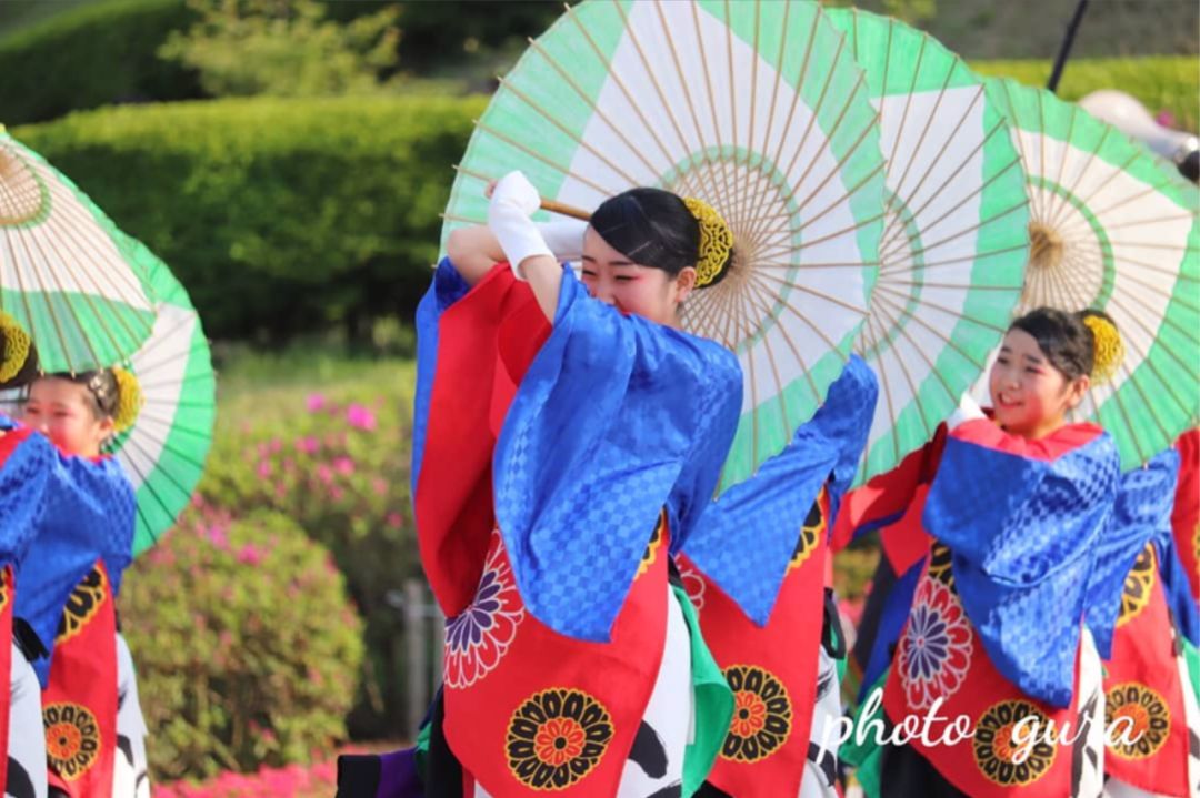 又挖出了個日本絕美縣城，一直到5月都有花海大片，國內3h直達遊客卻少得可憐 旅遊 第20張