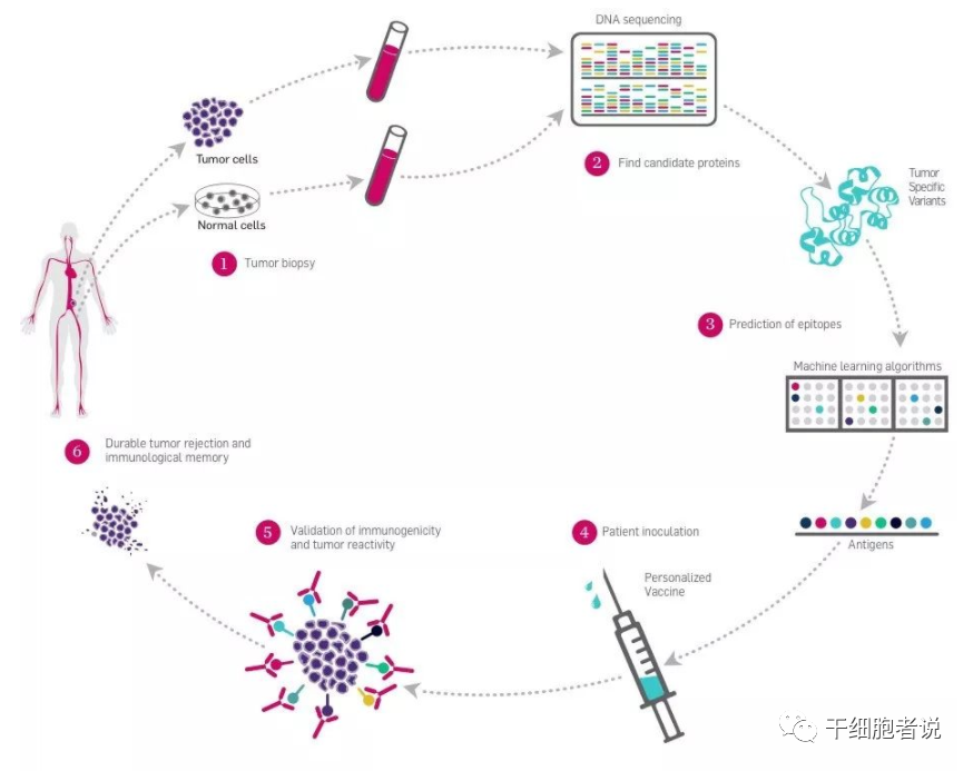 关于肿瘤疫苗你需要知道什么