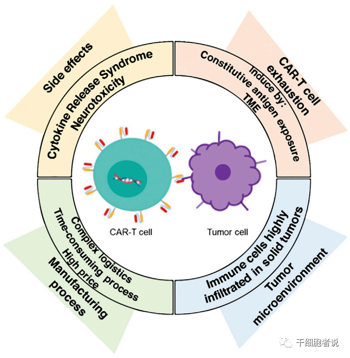 car-t图片