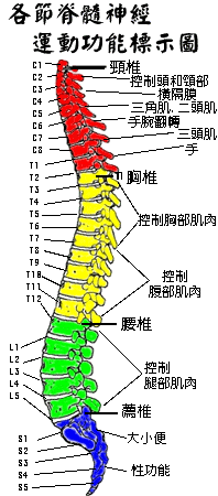 2岁宝宝模仿爸爸看电视姿势一模一样