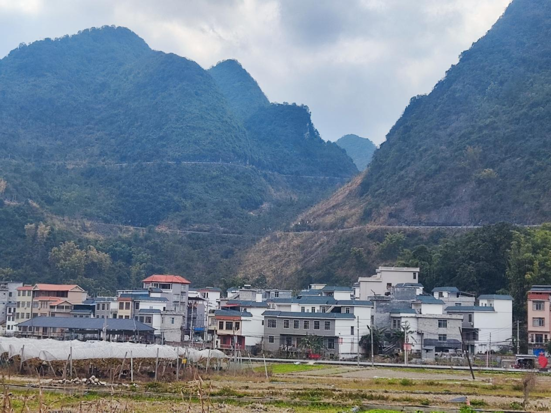 广西地理信息测绘院助力东兰县武篆镇全域土地综合整治