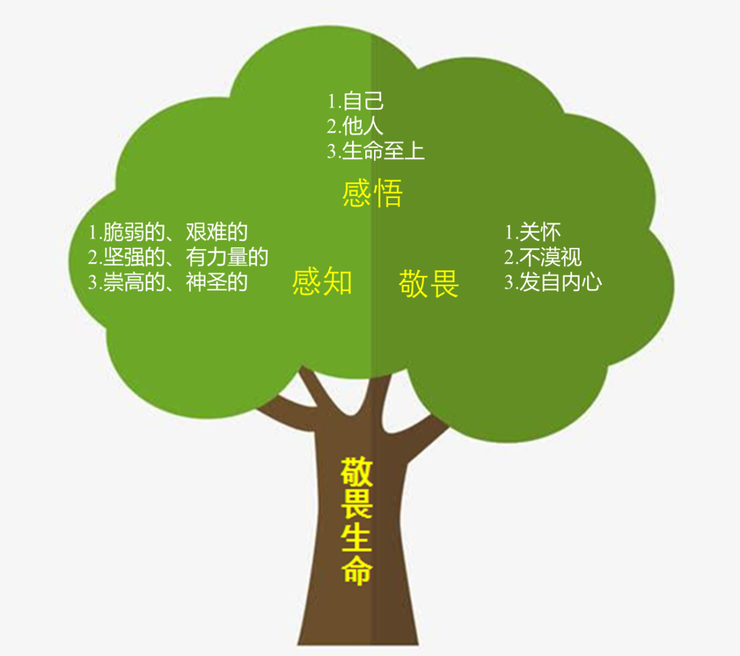 初中道法七上82敬畏生命教学设计