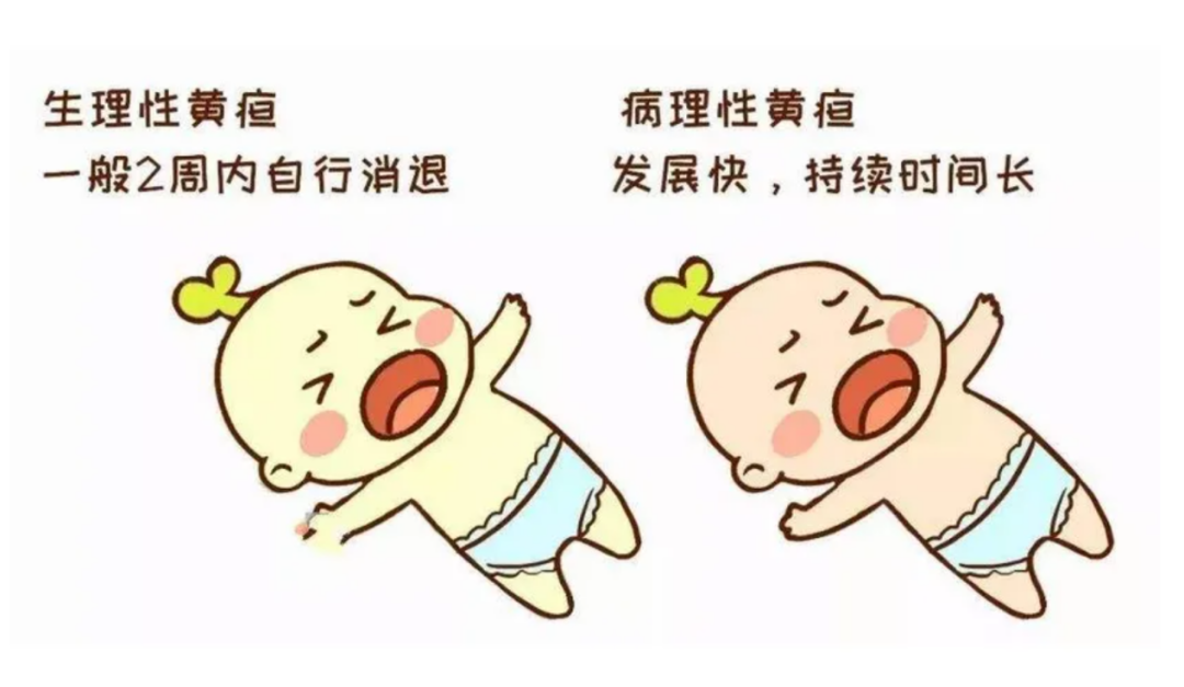 4006B光疗怎么用阜城县人民医院新生儿科开设“日间光疗”，黄疸宝宝不用住院也可以治疗啦！_https://www.jmylbn.com_新闻资讯_第5张