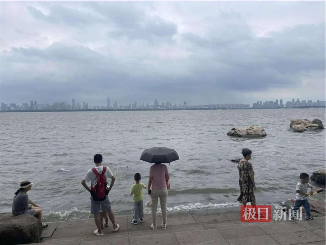 【】8级大风 大雨暴雨！降雨进入最强时段！台风“格美”正穿越湖北……