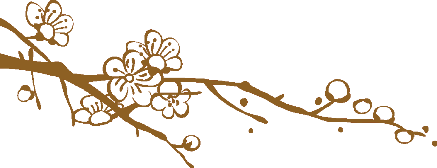 挂印封金_印封弋之我的天下_天星印主印封印了什么