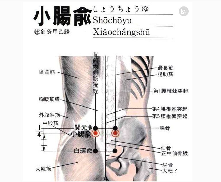 小肠俞 白带 腰腿疼 学医论坛 微信公众号文章阅读 Wemp