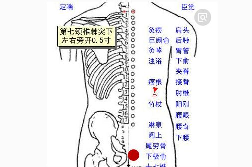 下极俞穴 属经外奇穴 主治 腰痛 小便不利 遗尿 中推交流平台 微信公众号文章阅读 Wemp