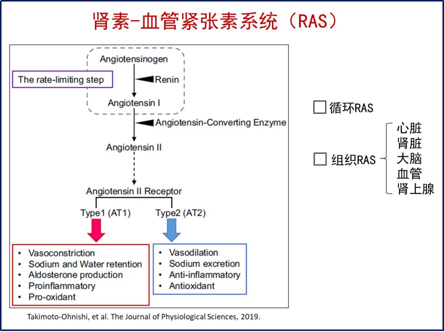 褚超：鹽敏感性高血壓新認識 健康 第2張