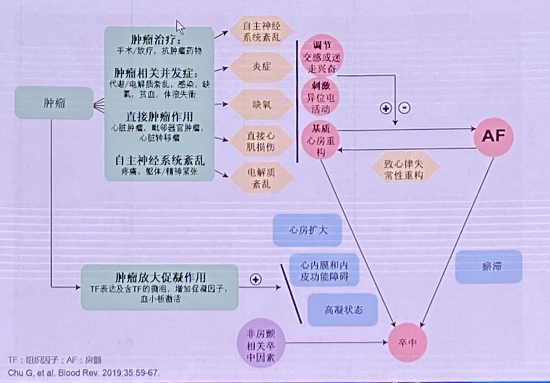 XICC 2019 | 夏雲龍：腫瘤心臟病學：機遇與展望 健康 第4張