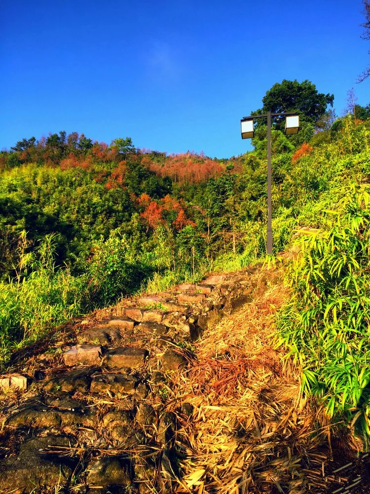 柯岭古道22.png