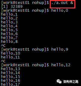 640?wx_fmt=png&tp=webp&wxfrom=5&wx_lazy=1&wx_co=1