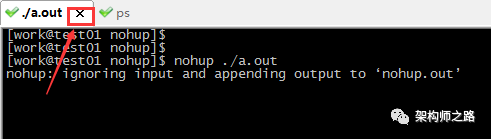 640?wx_fmt=png&tp=webp&wxfrom=5&wx_lazy=1&wx_co=1