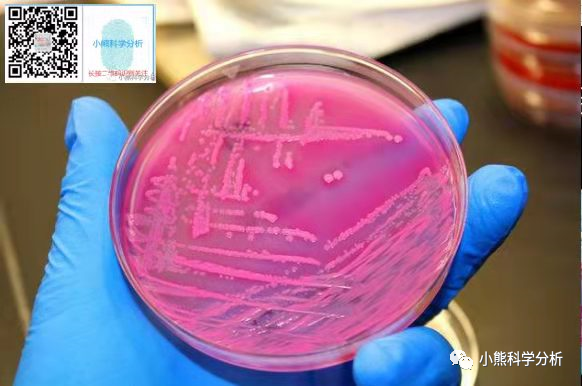 水質檢測項目和檢測標準，業(yè)務必讀收藏起來吧