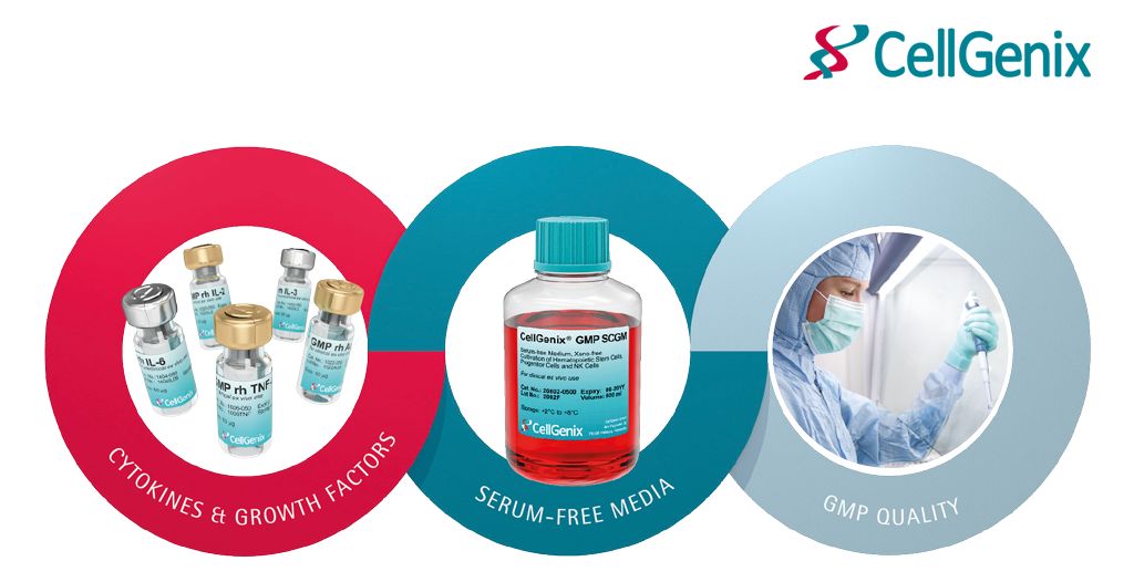 中秋赋，花好月圆，感恩有你！