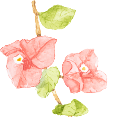 640 (1).webp (1).png