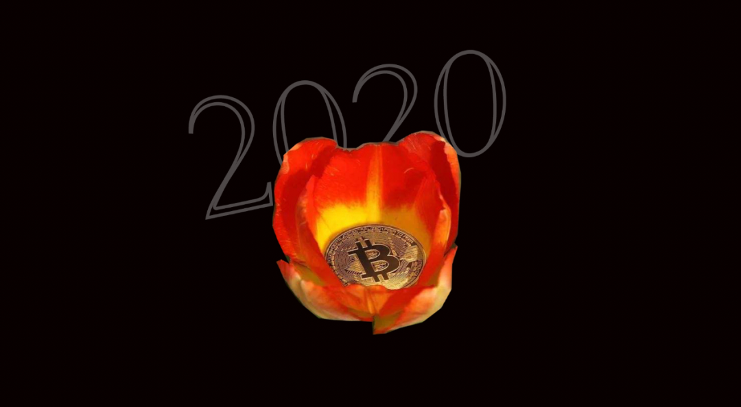 比特币疯狂 2020：“郁金香泡沫”正在酝酿