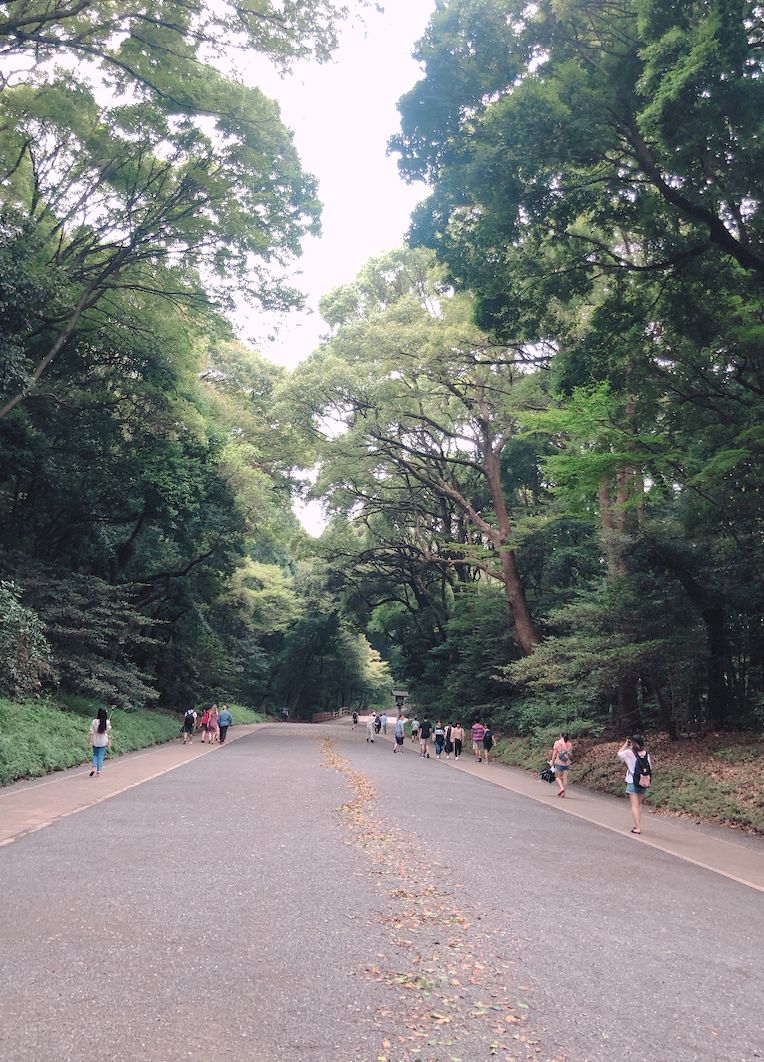 关于明治神宫，我写了个3000字的攻略 |日本深度游记