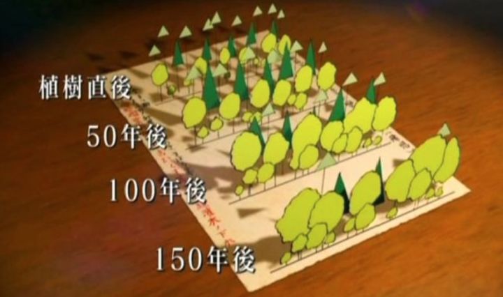 关于明治神宫，我写了个3000字的攻略 |日本深度游记