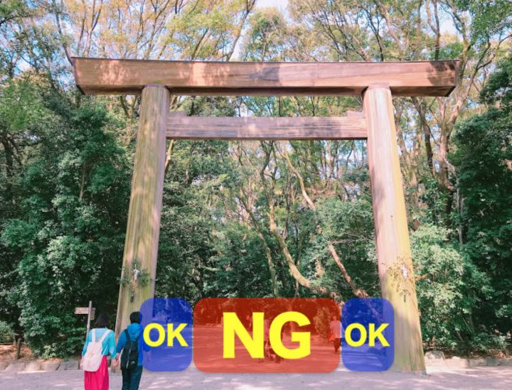 关于明治神宫，我写了个3000字的攻略 |日本深度游记