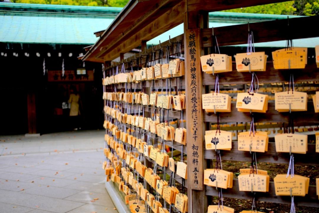 关于明治神宫，我写了个3000字的攻略 |日本深度游记