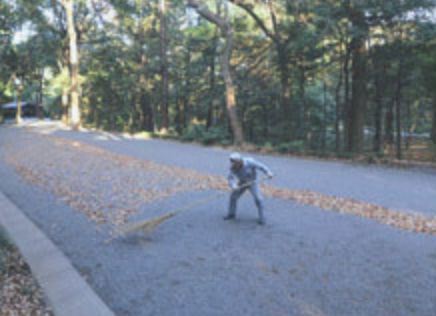 关于明治神宫，我写了个3000字的攻略 |日本深度游记