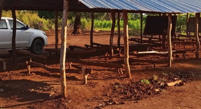 赞比西亚要求增加木材开采转化费