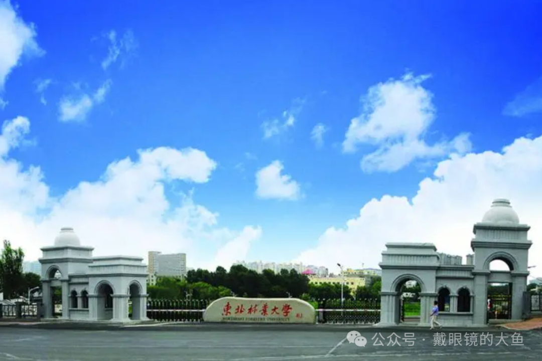 2024年湖北大学专业录取分数线（2024各省份录取分数线及位次排名）_各大高校湖北录取分数线_各省在湖北的录取分数线