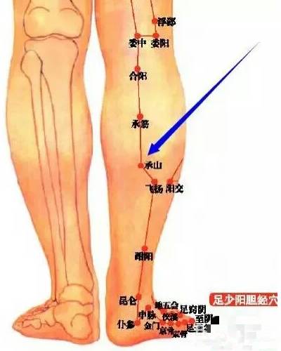 针灸二十八·绝穴