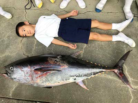 金枪鱼寿司：「劣等食材」是怎样逆袭的｜大象公会- 大象公会 微信公众 