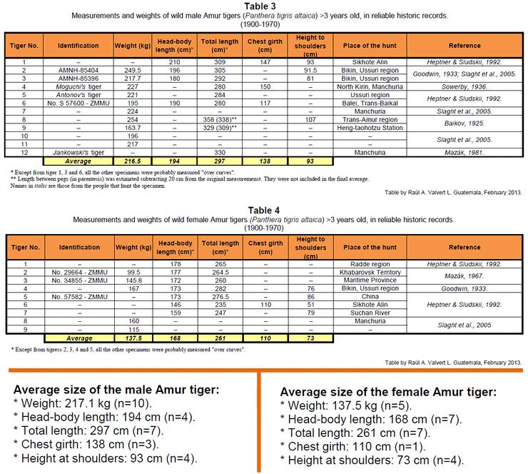 獅子和老虎打架誰能贏 大象公會 大象公會 微文庫