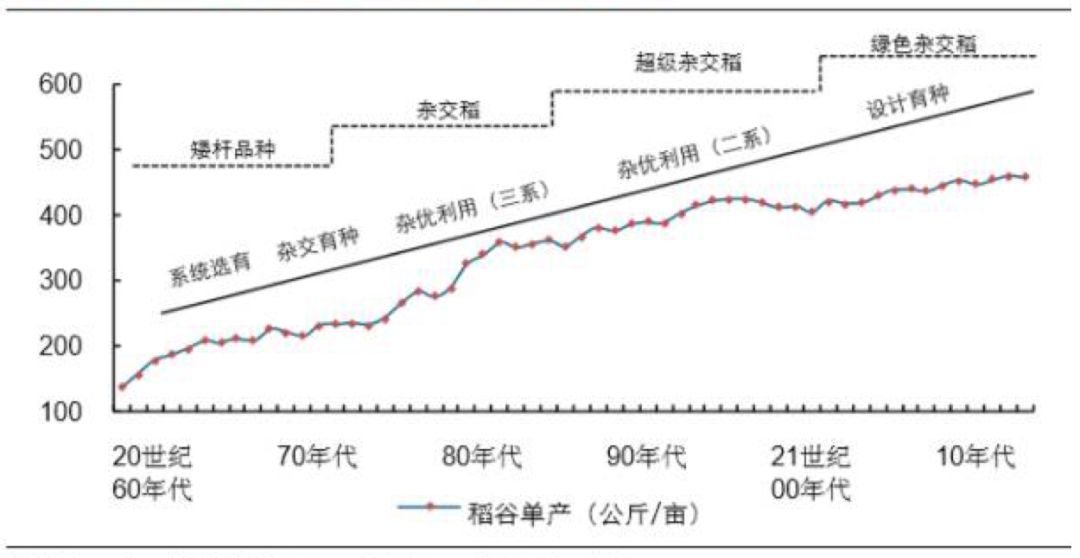 袁隆平神話｜大象公會 靈異 第6張