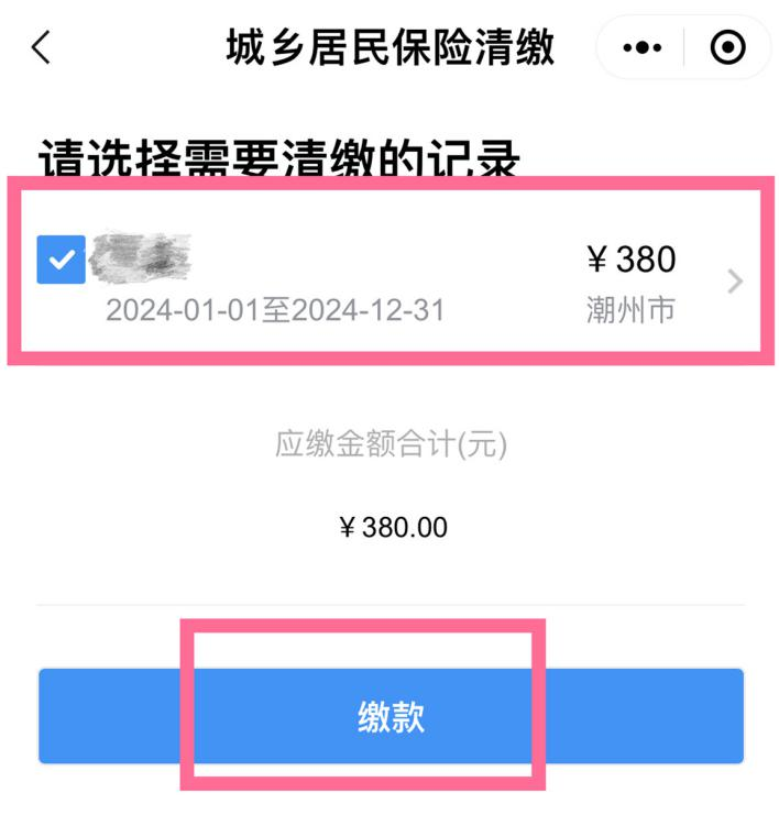 界面,点击缴费金额可查看缴费明细,勾选清缴记录,点击"缴款"进行支付