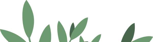 大学生创业项目简介200_大学生创业项目简介模板200字_创业项目简介200字