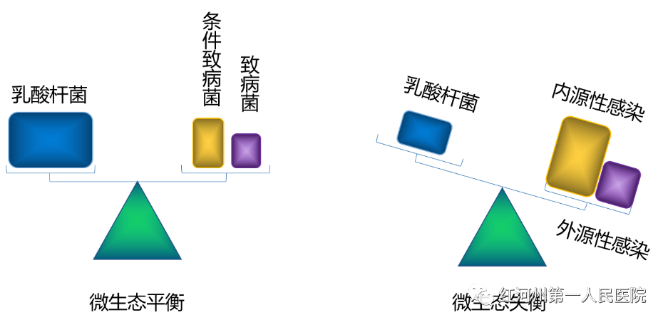 妇科荧光检查是什么生殖道分泌物细菌及真菌联合检测，为女性带来福音_https://www.jmylbn.com_新闻资讯_第6张