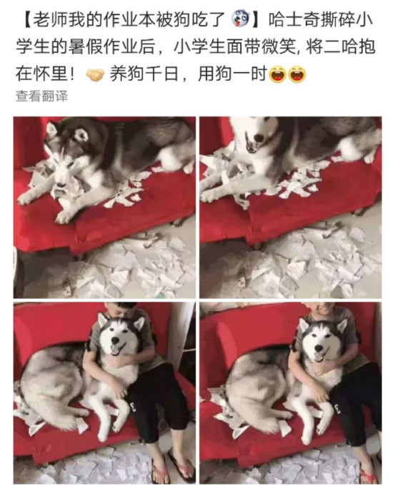 13岁女孩暑假作业走红网络，媒体疯狂转载。今年暑假你怎么做？