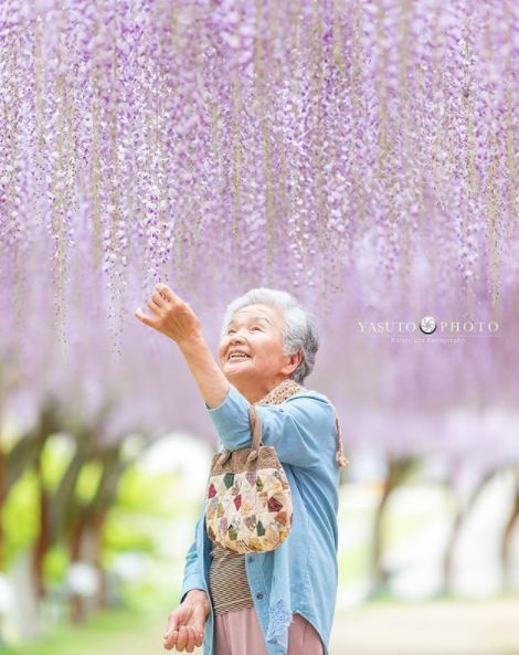 櫻花樹下85歲奶奶和柴犬一張圖片，獲12萬人點讚：