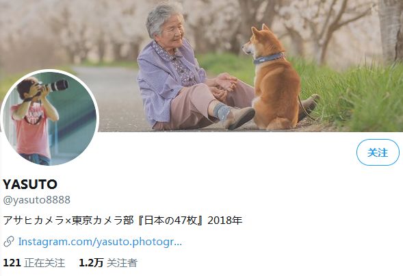 櫻花樹下85歲奶奶和柴犬一張圖片，獲12萬人點讚：