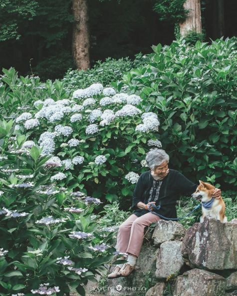 櫻花樹下85歲奶奶和柴犬一張圖片，獲12萬人點讚：