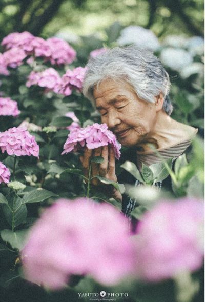 櫻花樹下85歲奶奶和柴犬一張圖片，獲12萬人點讚：