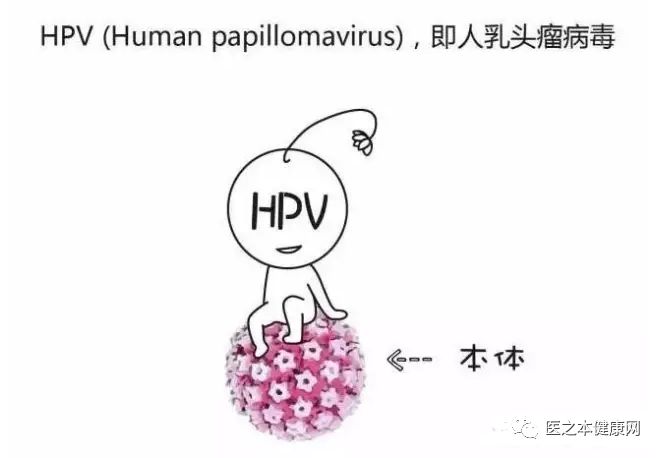 妻子感染了HPV，丈夫要不要也检查？（医之本健康网独家发表）