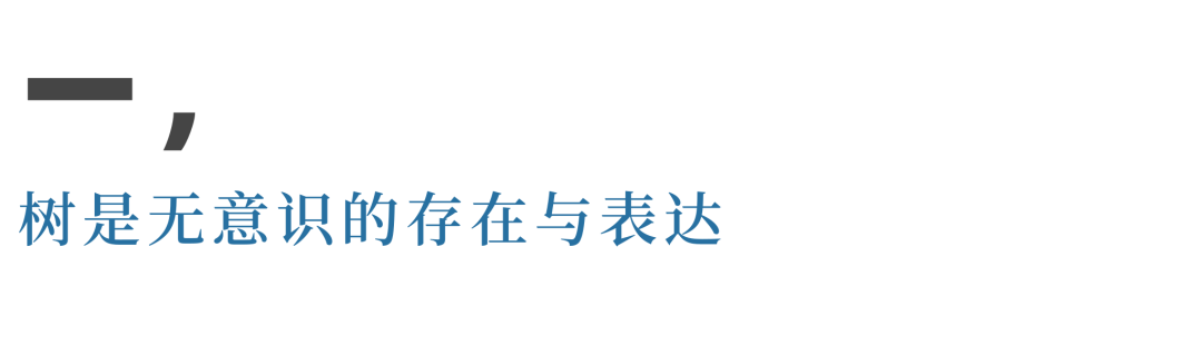 树的意象 属于荣格分析心理学的重要内容 心理分析与中国文化 微信公众号文章阅读 Wemp