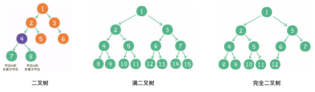 快速入門資料結構和演算法