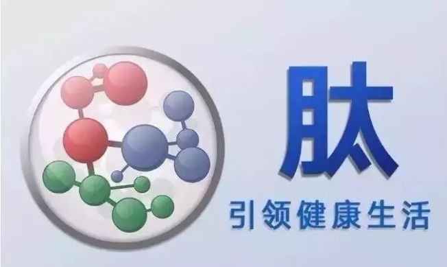 【肽健康】我们为什么需要补肽？