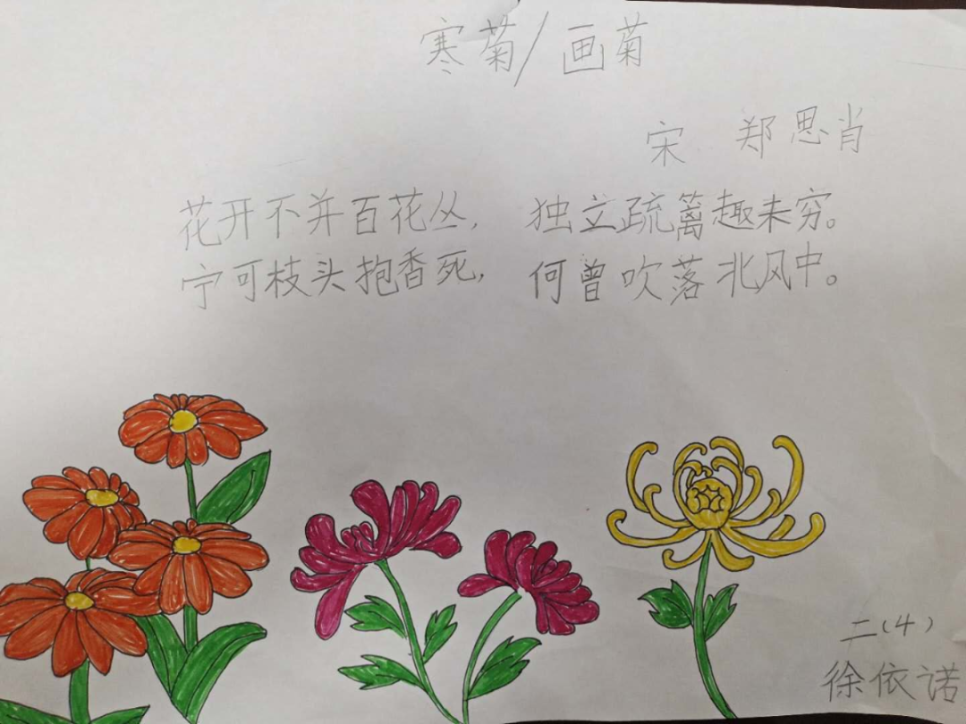 诵读有关菊花的诗歌,还给喜爱的菊花诗歌配上图画