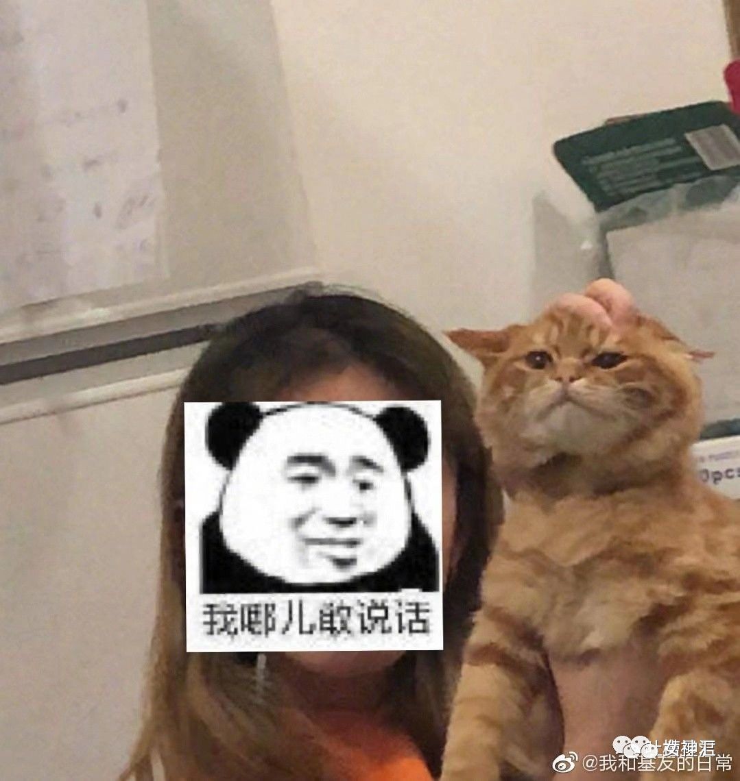【爆笑】向父母坦白恋情，却意外发现和表妹撞男朋友了！哈哈哈哈哈（组图） - 49