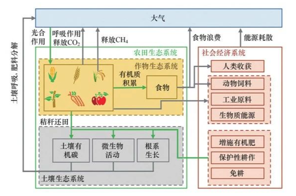 金融支持农村产业融合发展_数字货币在农业融资中的应用潜力：助力农村经济发展_金融支持新型农业主体的对策