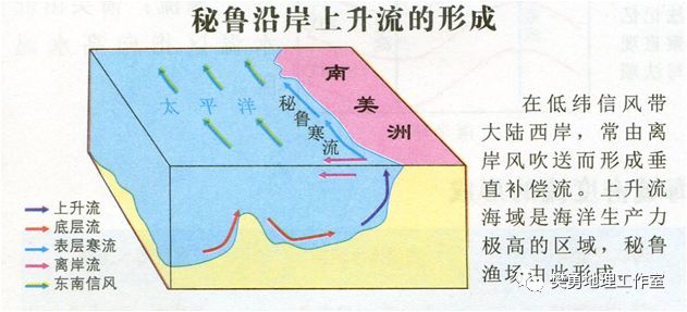 秘鲁渔场形成的条件是_秘鲁渔场_厄尔尼诺对秘鲁渔场的
