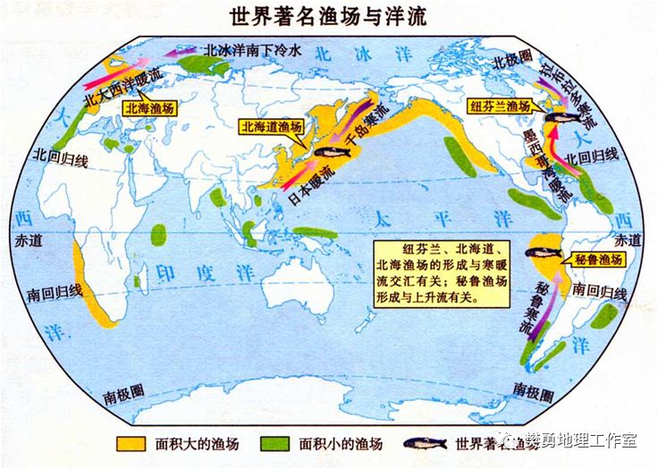 秘鲁渔场形成的条件是_秘鲁渔场_厄尔尼诺对秘鲁渔场的