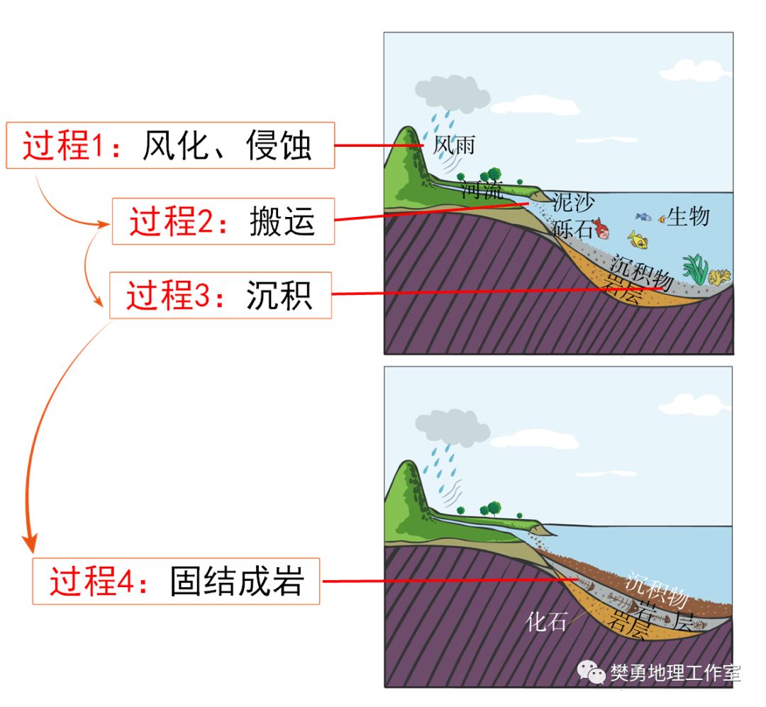 厄尔尼诺对秘鲁渔场的_秘鲁渔场_秘鲁渔场形成的条件是