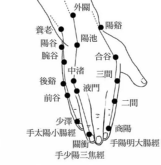 分布了手阳明大肠经、手太阳小肠经、手少阳三焦经这三条阳经。手三阳经